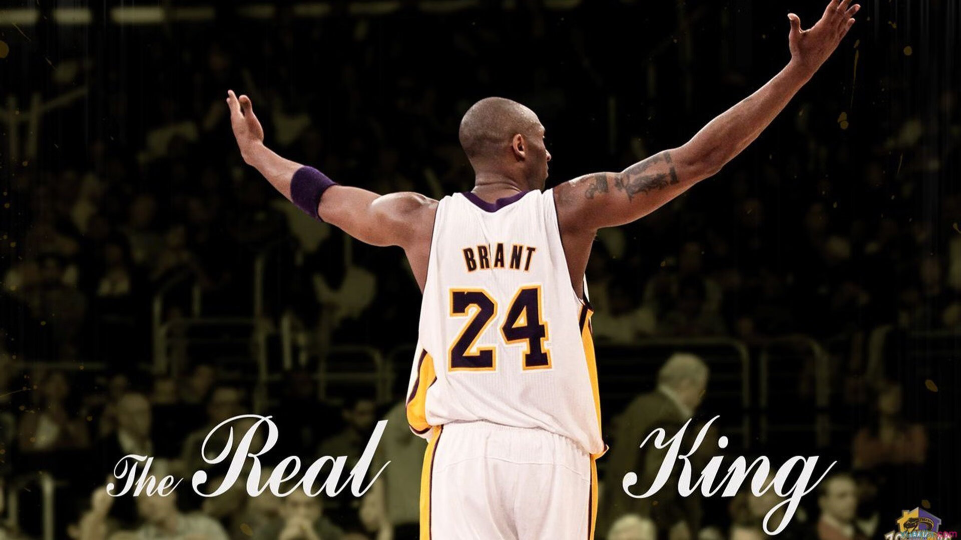 未来“欧洲霸主”新星走红，谁能引领下个黄金时代？，欧洲未来发展趋势