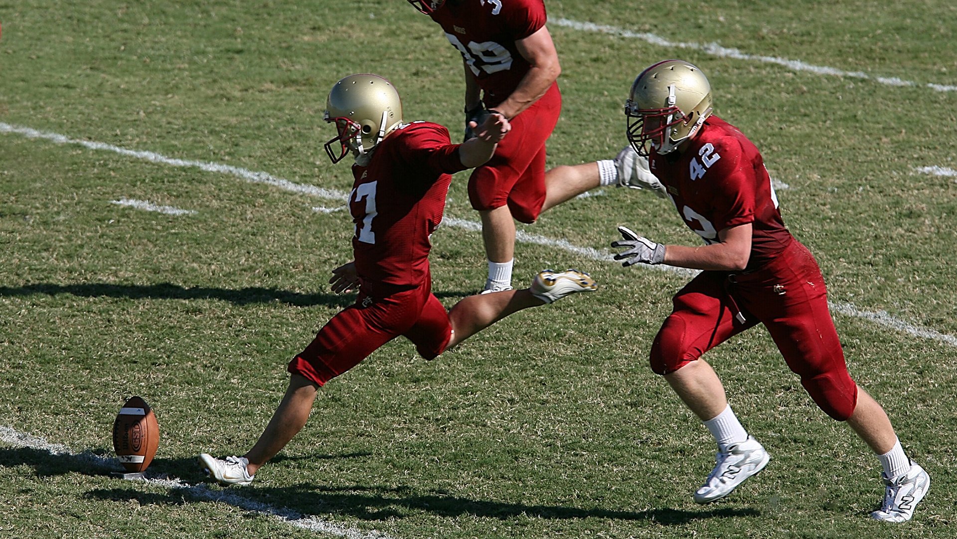 荷兰马术协会推出马术运动员心理辅导项目，提升竞技表现。，荷兰马拉松比赛